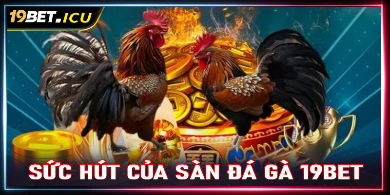 Sức hấp dẫn của sàn cá cược đá gà 19Bet đến từ đâu?